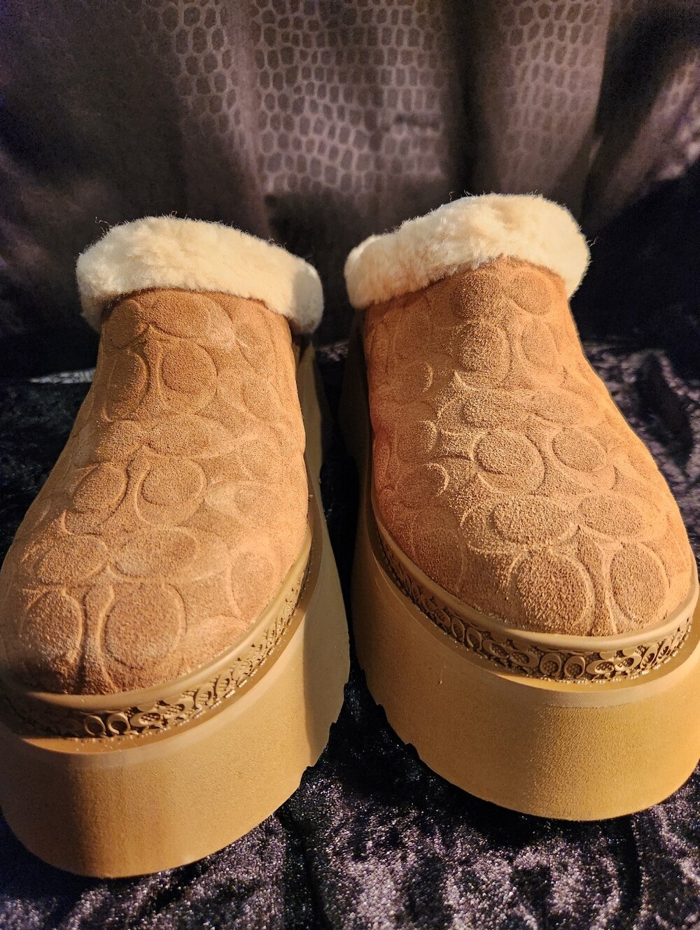 Coach Cecelia Clog Platforms with shearling lining - Picture 6 of 11